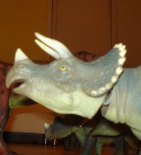 Triceratops Dinosaur Toys