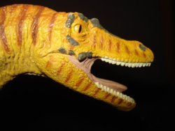 Raptor Dinosaur Toys