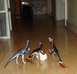 Oviraptor Dinosaur Toys