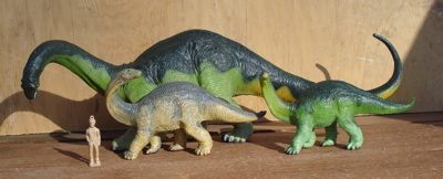 Carnegie Apatosaurus Dinosaur Toys