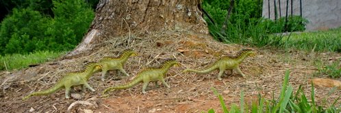 Amargasaurus, carnegie collection, Dinosaur Toys