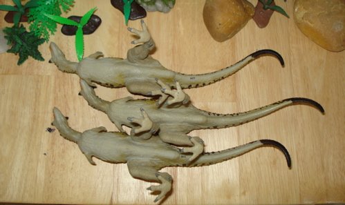 Carnotaurus, Carnegie carnotaurus, Carnotaur, Carnegie, Dinosaur Toys