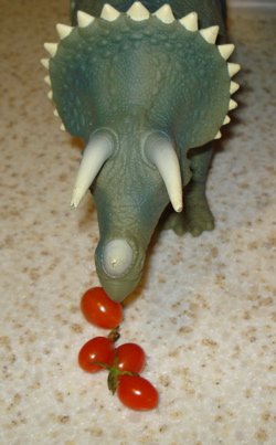 Triceratops Dinosaur Toys