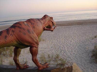 Tyrannosaurus Rex Dinosaur Toys