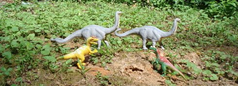 Safari Apatosaurus, Sauropod, Dinosaur Toys